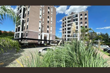Apartamento à venda com 3 quartos, 76m² em Swiss Park, Campinas