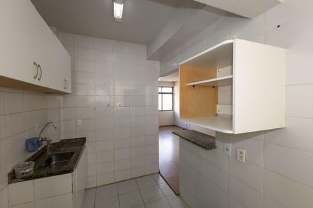 Cozinha de apartamento para alugar com 2 quartos, 65m² em Santo Antônio, Belo Horizonte