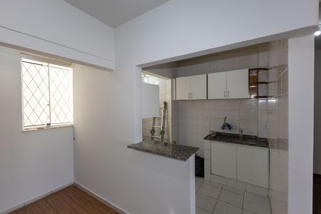 Cozinha de apartamento para alugar com 2 quartos, 65m² em Santo Antônio, Belo Horizonte