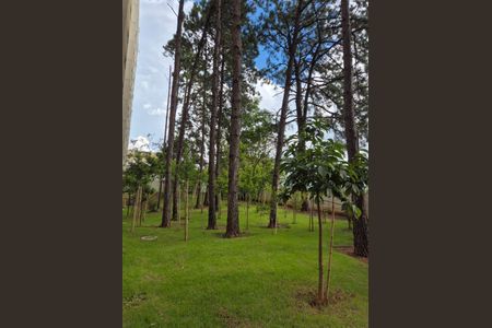 Apartamento à venda com 41m², 2 quartos e 1 vagaFoto 23