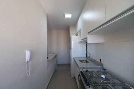 Cozinha  de apartamento para alugar com 2 quartos, 61m² em Vila Guiomar, Ribeirão Preto