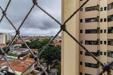 Apartamento para alugar com 3 quartos, 72m² em Vila Santa Catarina, São Paulo