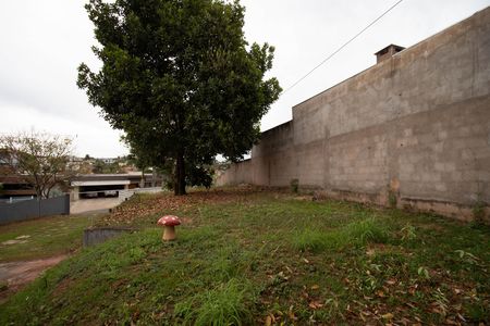 Casa de condomínio para alugar com 798m², 3 quartos e 4 vagas Casa de condomínio para alugar com 798m², 3 quartos e 4 vagasQuintal