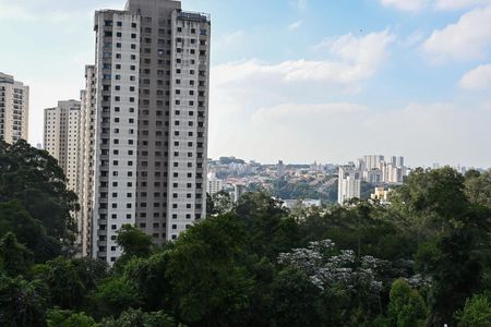 Apartamento à venda com 63m², 2 quartos e 1 vagaVista da Suíte 