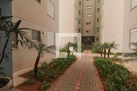 Apartamento para alugar com 72m², 3 quartos e 1 vaga Apartamento para alugar com 72m², 3 quartos e 1 vagaÁrea Externa