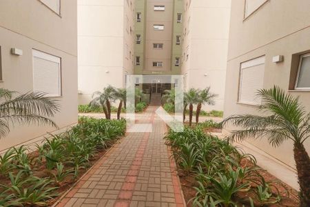 Apartamento para alugar com 72m², 3 quartos e 1 vaga Apartamento para alugar com 72m², 3 quartos e 1 vagaÁrea Externa