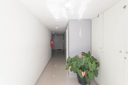 Apartamento à venda com 52m², 2 quartos e 1 vaga Apartamento à venda com 52m², 2 quartos e 1 vagaHall social