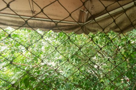 Apartamento para alugar com 50m², 2 quartos e 1 vaga Apartamento para alugar com 50m², 2 quartos e 1 vagaVista do Quarto 2
