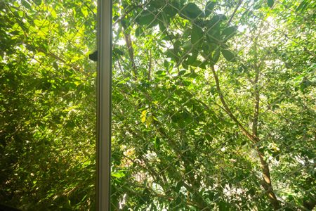 Vista da Sala de apartamento para alugar com 2 quartos, 50m² em Campo Grande, Rio de Janeiro