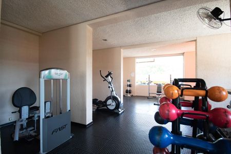 Apartamento à venda com 79m², 3 quartos e 1 vaga Apartamento à venda com 79m², 3 quartos e 1 vagaÁrea comum - Academia