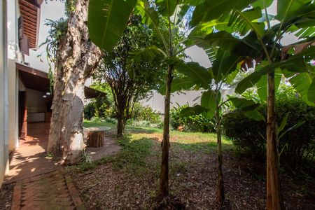 Casa de condomínio para alugar com 325m², 4 quartos e 4 vagasÁREA EXTERNA FUNDOS 