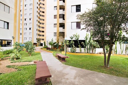 Apartamento à venda com 68m², 3 quartos e 1 vaga Apartamento à venda com 68m², 3 quartos e 1 vagaÁrea comum