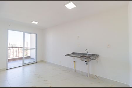Cozinha de apartamento para alugar com 2 quartos, 44m² em Belenzinho, São Paulo