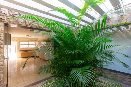 Casa para alugar com 325m², 3 quartos e 4 vagas Casa para alugar com 325m², 3 quartos e 4 vagasJardim de Inverno