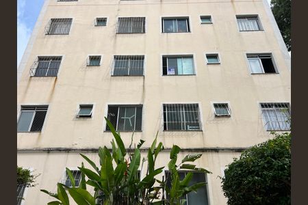 Apartamento para alugar com 45m², 2 quartos e 1 vaga Apartamento para alugar com 45m², 2 quartos e 1 vagaPlaca QuintoAndar