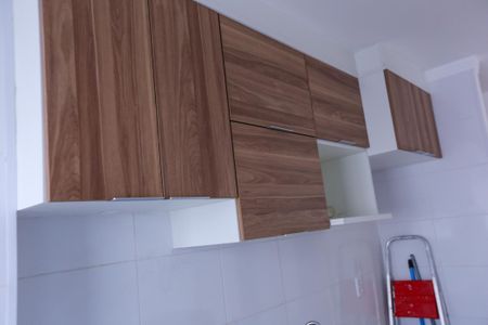 Apartamento para alugar com 43m², 2 quartos e 1 vagaCozinha - Armários