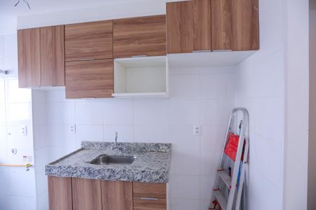 Apartamento para alugar com 43m², 2 quartos e 1 vagaCozinha - Armários