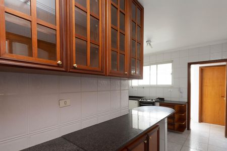 Apartamento para alugar com 120m², 3 quartos e 2 vagas Apartamento para alugar com 120m², 3 quartos e 2 vagasCozinha - Armários