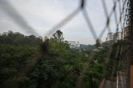 Vista da Varanda da Sala de apartamento à venda com 2 quartos, 50m² em Jardim Ampliacao, São Paulo