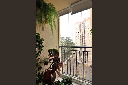 Vista da Sacada  de apartamento para alugar com 2 quartos, 49m² em Planalto, São Bernardo do Campo