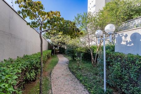 Apartamento à venda com 154m², 3 quartos e 2 vagas Apartamento à venda com 154m², 3 quartos e 2 vagasPista caminhada