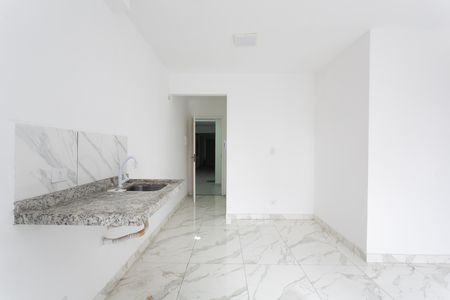 Apartamento à venda com 52m², 2 quartos e sem vagaCozinha 