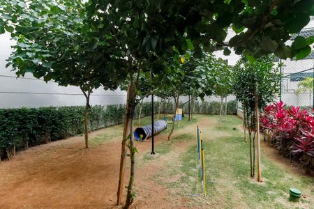Apartamento para alugar com 82m², 3 quartos e 2 vagasEspaço PET