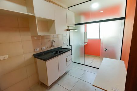 Apartamento para alugar com 61m², 2 quartos e 1 vagaCozinha - Armários
