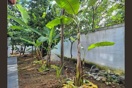 Casa para alugar com 940m², 4 quartos e 5 vagas Casa para alugar com 940m², 4 quartos e 5 vagasÁrea comum