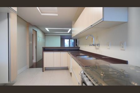 Apartamento à venda com 265m², 3 quartos e 2 vagasCozinha 