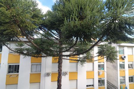 Apartamento à venda com 67m², 2 quartos e 1 vaga Apartamento à venda com 67m², 2 quartos e 1 vagaVista do Quarto 1