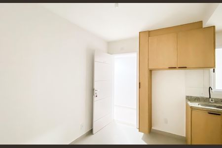 Cozinha / área de serviço  de apartamento para alugar com 1 quarto, 25m² em Vila Sao Geraldo, São Paulo