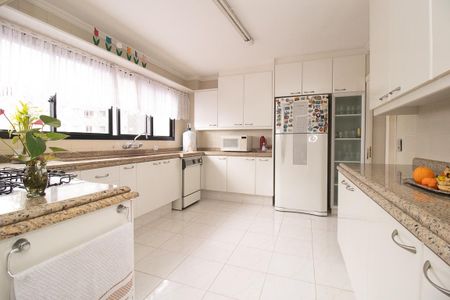 Apartamento à venda com 614m², 5 quartos e 4 vagasCozinha - Armários