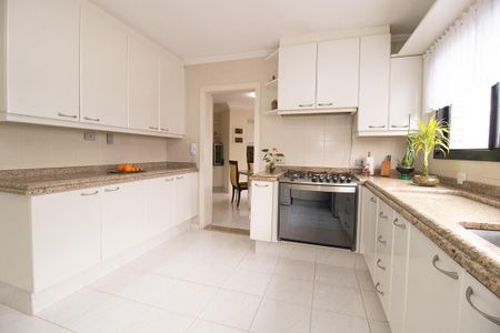 Apartamento à venda com 614m², 5 quartos e 4 vagasCozinha - Armários