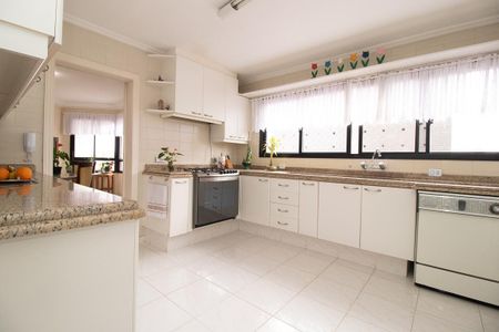 Apartamento à venda com 614m², 5 quartos e 4 vagasCozinha - Armários