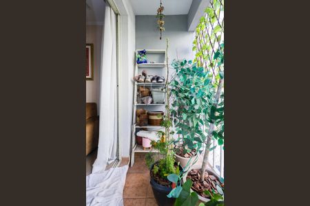 Varanda de apartamento para alugar com 3 quartos, 75m² em Super Quadra Morumbi, São Paulo