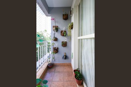 Varanda de apartamento para alugar com 3 quartos, 75m² em Super Quadra Morumbi, São Paulo