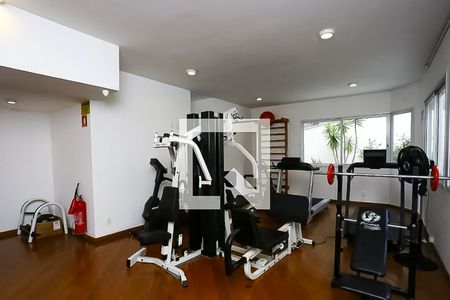 Apartamento para alugar com 130m², 1 quarto e 2 vagas Apartamento para alugar com 130m², 1 quarto e 2 vagasÁrea comum - Academia