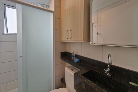 Banheiro de apartamento para alugar com 2 quartos, 45m² em Jardim do Lago Continuacao, Campinas