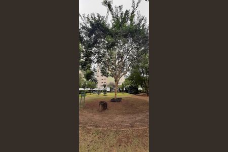 Apartamento à venda com 64m², 3 quartos e 1 vaga