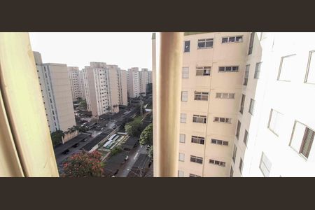 Apartamento à venda com 64m², 3 quartos e 1 vaga Apartamento à venda com 64m², 3 quartos e 1 vagaVista do Quarto 2
