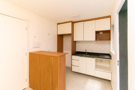 Studio para alugar com 29m², 1 quarto e sem vaga Studio para alugar com 29m², 1 quarto e sem vagaCozinha