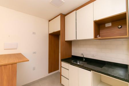Studio para alugar com 29m², 1 quarto e sem vaga Studio para alugar com 29m², 1 quarto e sem vagaCozinha
