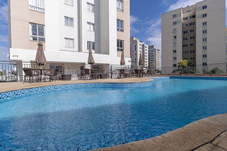 Área comum - Piscina de apartamento à venda com 3 quartos, 75m² em Ouro Preto, Belo Horizonte