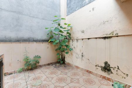 Casa para alugar com 135m², 3 quartos e 2 vagas Casa para alugar com 135m², 3 quartos e 2 vagasQuintal
