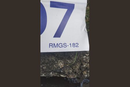 Apartamento à venda com 85m², 4 quartos e 2 vagasplaca instalada - RMGS-182