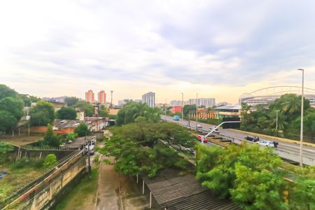 Apartamento para alugar com 51m², 2 quartos e 1 vaga Apartamento para alugar com 51m², 2 quartos e 1 vagaVista do Quarto 2