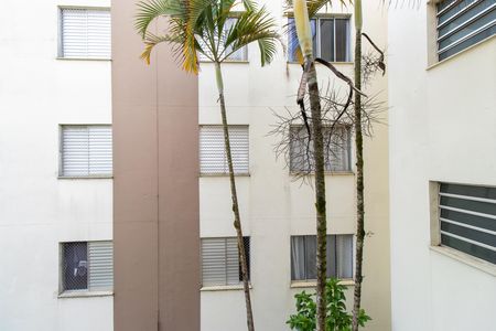 Apartamento para alugar com 51m², 2 quartos e 1 vagaVista do Quarto 1