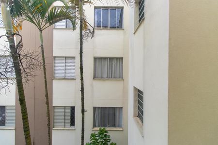 Vista da Sala de apartamento para alugar com 2 quartos, 51m² em Jardim da Gloria, Cotia