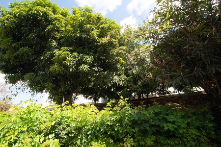 Apartamento à venda com 60m², 3 quartos e 1 vagaÁrea Comum